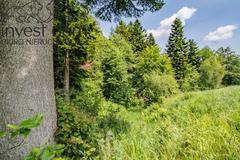 Działka  2069m², Wysowa-Zdrój