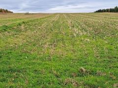 Działka  12750m², Stoki