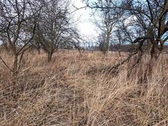 Działka  4000m², Barbarka