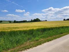 Działka  800m², Wielmoża