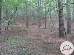 Działka  7600.00m², 