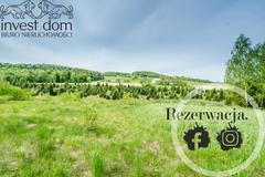 Działka  2695m², Mszanka