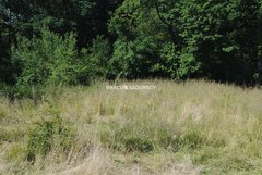 Działka  2402m², Chorowice 