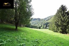 Działka  14966m², Michałkowa