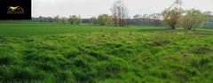 Działka  2600m², Wierzbna