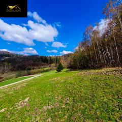 Działka  4247m², Wilcza