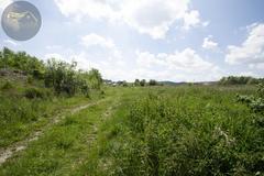Działka  6016m², Bielawa
