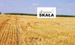 Działka  1200m², Czaple Wielkie