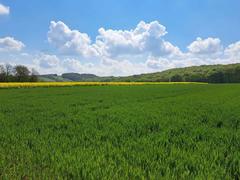 Działka  6700m², Przybysławice