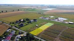 Działka  1000m², Tarnowo Podgórne
