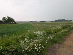 Działka  16786m², Pińczyce