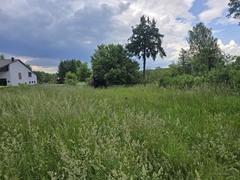 Działka  3365m², Zendek