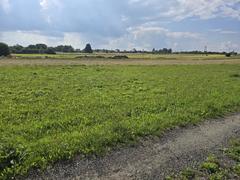 Działka  966m², Twardowice
