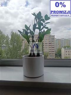 Lokal 234m², Warszawa Wola