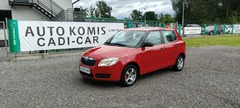 Hatchback Škoda Fabia II (2007-2014)  (benzyna),  236000km, 2009 rok