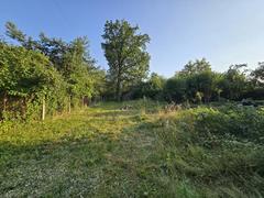 Działka  13075m², Siemonia