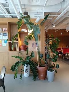 Lokal 19,45m², Warszawa Śródmieście