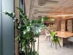 Lokal 14m², Warszawa Śródmieście