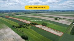 Działka  30500m², Prandocin-Iły 