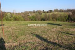 Działka  24400m², Libertów 