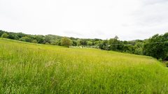 Działka  4700m², Łazany 