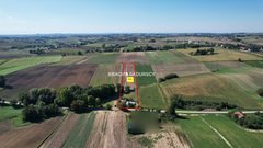 Działka  7730m², Kazimierza Wielka Gunów-Wilków
