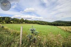 Działka  3000m², Michałkowa