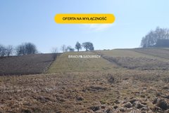 Działka  6650m², Bodzanów 