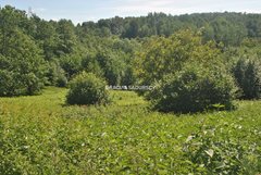 Działka  3800m², Lusina 