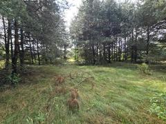 Działka  4000m², Ożarowice