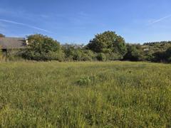 Działka  887m², Myszkowice