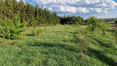 Działka  1484m², Sadowie