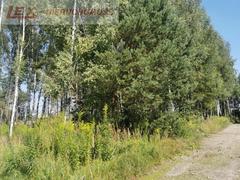 Działka  1009m², Grabowa